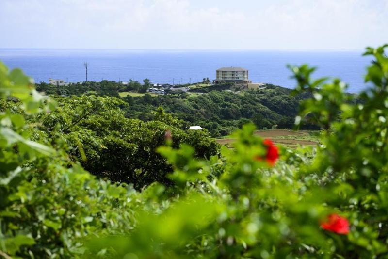 Yakushima Iwasaki Hotel Zewnętrze zdjęcie
